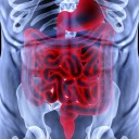Human Genome and Gut Fungi Interact in Chronic Disease Risk