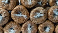 Yes, You Can Freeze Your Bagels. But Here's Why You Should Never, Ever Refrigerate Them