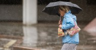 Drivers warned as 'terrible' weather lashes Devon and Cornwall