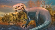 Encuentran dinosaurio en Argentina con restos de comida fosilizada
