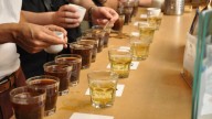 5 free and fun fall classes happening in Boston