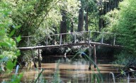 Escapada de fin de semana en pareja por Buenos Aires: los 4 mejores bosques para visitas