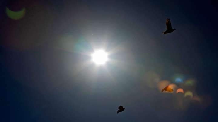 'See you in the clouds': Social media gave us gems amid Rapture theory