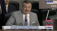 'Stop attacking pedophiles!' Ted Cruz appears to make awkward gaffe during Senate hearing