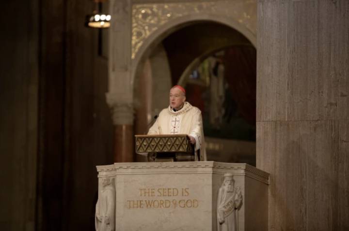 Cardinal McElroy calls for solidarity with immigrants lacking legal status