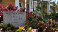 St. Petersburg offering Free Museum Day on Saturday