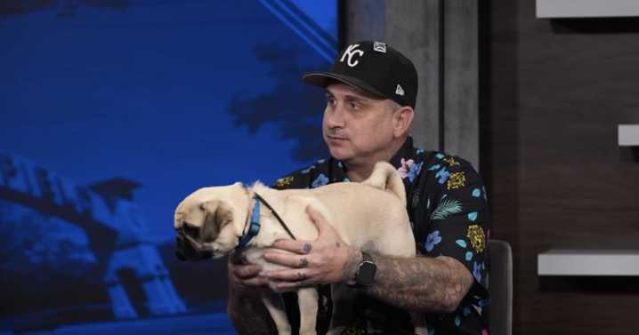 Wag Wednesday: Meet Vito the Pug!