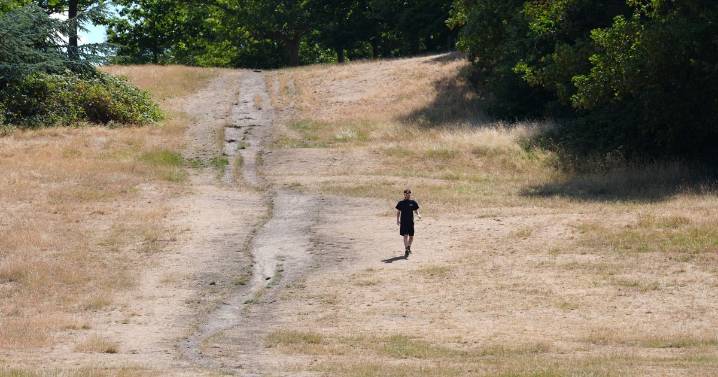 1,147 died from climate-driven heatwaves during UK's warmest summer on record
