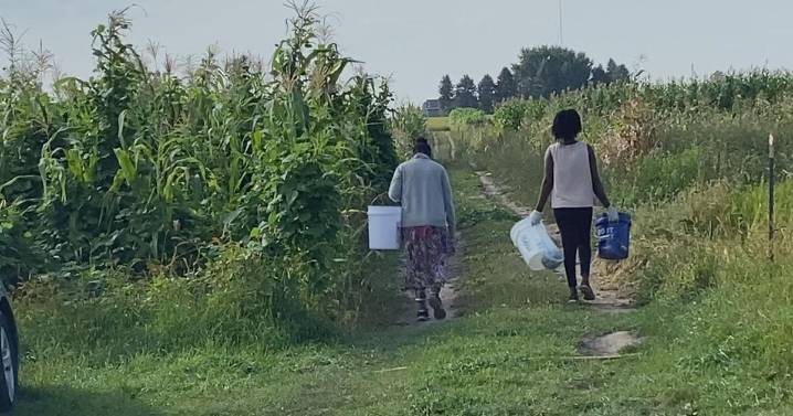 Lawmakers visit Rochester farm specializing in African produce