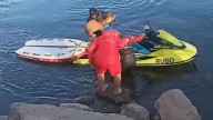 Operativo de rescate en el Limay: nueve personas y dos perros fueron evacuados de una isla