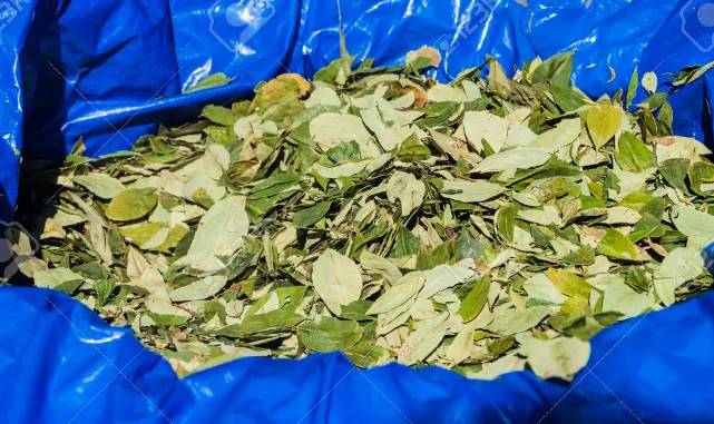 Por el precio de la coca, los salteños elijen comprar más pero de menor calidad