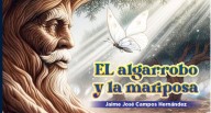 El algarrobo y la mariposa en Chepén