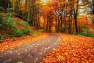 Where to see changing colors this fall near San Diego