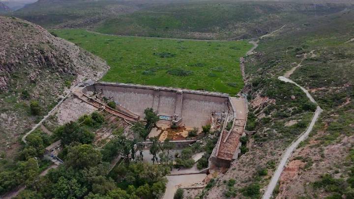 Conagua interviene para combatir lirio acuático en la Presa San José
