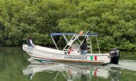 Turista extranjero es atacado por cocodrilo en la zona hotelera de Cancún