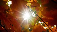 The autumn equinox happens on Sept. 22. What it means for Indiana.