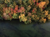 What to Expect for Wisconsin Fall Colors This Autumn