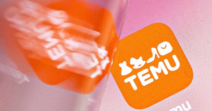 ¿Efecto Temu? Empresarios uruguayos advierten por el cierre de 40 jugueterías