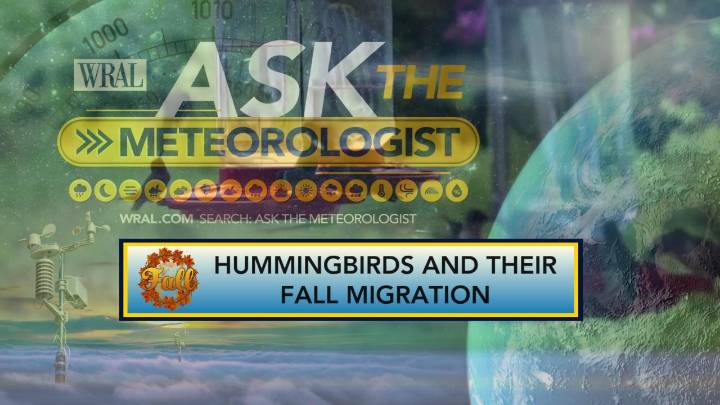 Ask the Meteorologist: When should we take hummingbird feeders inside?