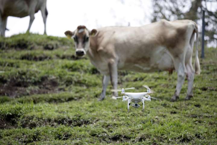 Drones, lácteos y una denominación: cómo Turrialba está digitalizando el campo de Costa Rica