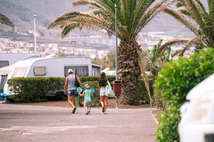 La Laguna reabre el camping de Punta del Hidalgo: así será su nuevo uso