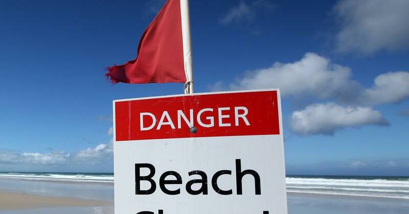 Fatal shark attack on Sydney's northern beaches