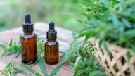 La UNR capacita a profesionales de la salud en cannabis medicinal: nueva inscripción al posgrado