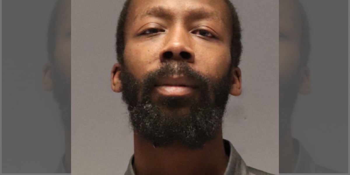 Duluth man arrested after shooting at vehicle, ramming police cars