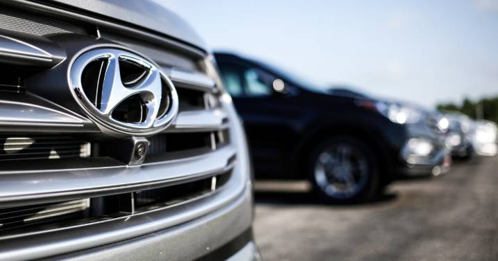 ICE, Homeland Security conduct enforcement action at Hyundai facility in Georgia