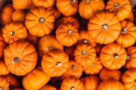 Michigan’s ‘favorite’ pumpkin food is a head scratcher