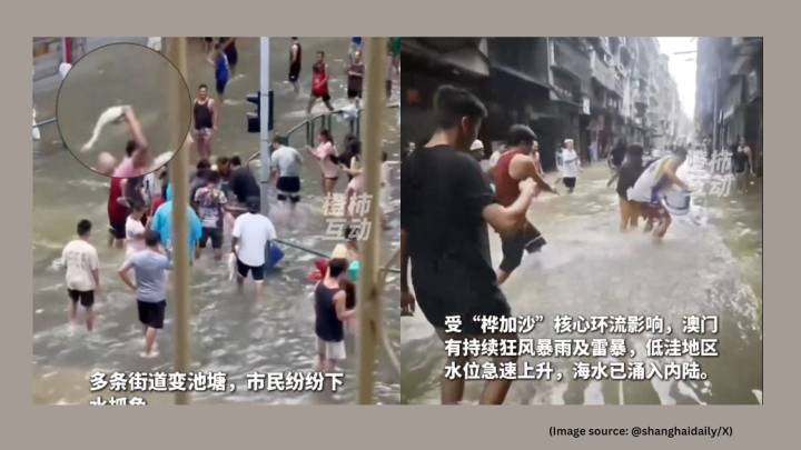 Super typhoon Ragasa brings ‘seafood buffet’ in China as residents catch fish in flooded streets, video emerges