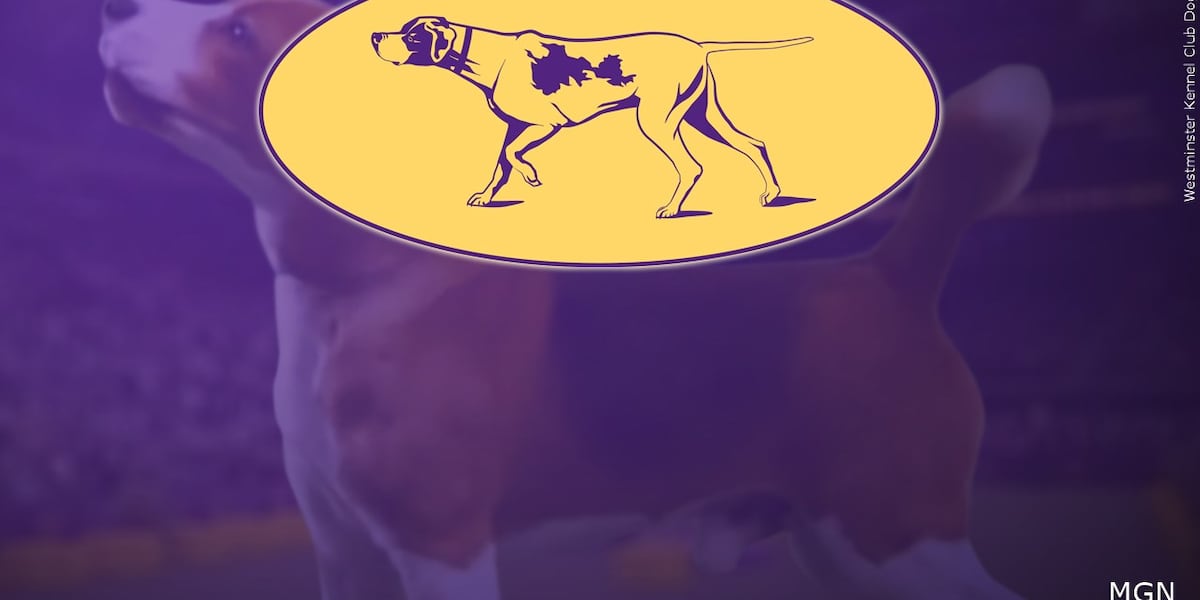 Monson woman chosen as judge for Westminster Dog Show