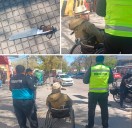De la exhibición al ataque: detuvieron a un hombre en silla de ruedas que amenazó con un cuchillo en Ciudad