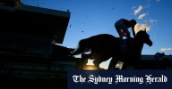 Tips and race-by-race guide for Rosehill on Wednesday