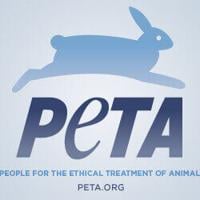 PETA sues Virginia Tech over withheld records regarding minipig deaths