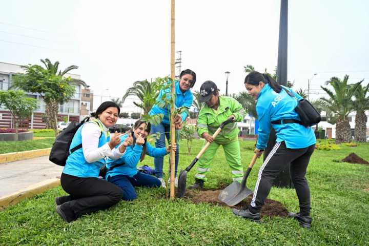 Lima Verde: plantan más de medio millón de árboles en la capital