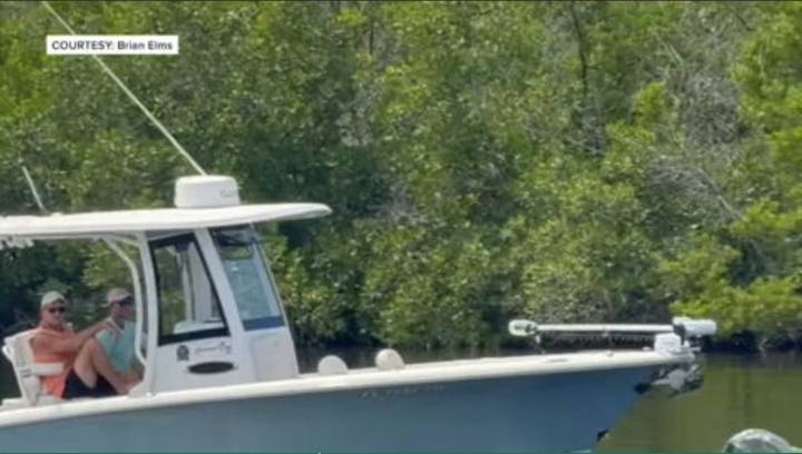 Man says he witnessed boater plowing through group of manatees near Cape Coral 