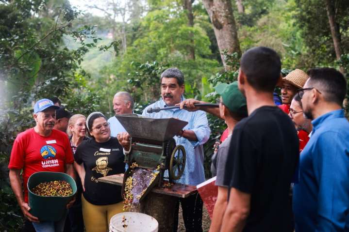 Plan de siembra de maíz y de arroz 2025: Logra una superficie de más de 347 mil hectáreas sembradas