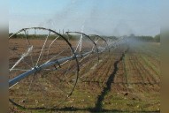 Conaza, Firco, desmantelamiento continuo de la institucionalidad rural