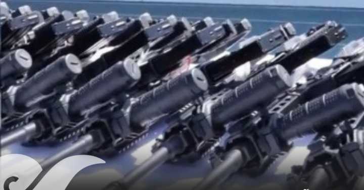 Oaxaca refuerza a la Policía Estatal con rifles semiautomáticos israelíes