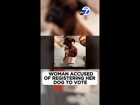 Woman accused of registering her dog to vote 🙃