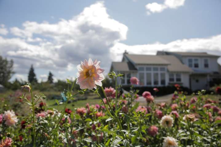 Cooler air, clouds move in Thursday as Portland sees shift toward fall