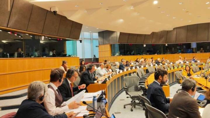 La sociedad civil española alerta al Parlamento Europeo sobre el riesgo para el Estado de Derecho