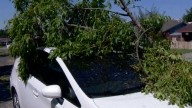 Powerful winds topple trees, cut power in Sacramento County