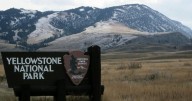 Bozeman man sentenced for driving drunk and without a license in Yellowstone