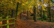 The 'lovely' Greater Manchester walk that's 'spectacular in autumn'