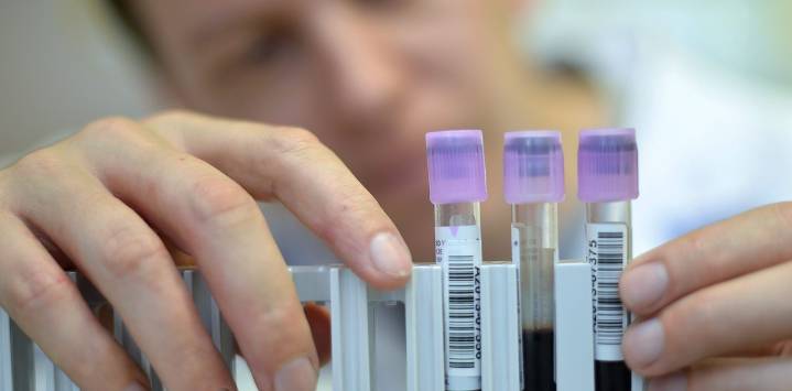 Alerta extrema en Estados Unidos: el mal de Chagas ya es endémico y se expande en estos 32 estados