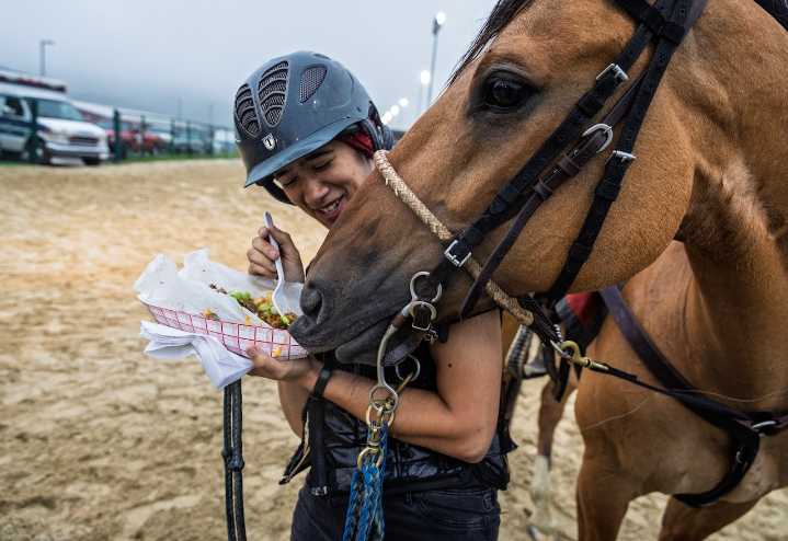 Pennsylvania must act now to stop horse slaughter