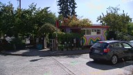 Urban Earth Nursery in Seattle to Close This November