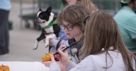 Mulhalls celebrates harvest season with free family festival
